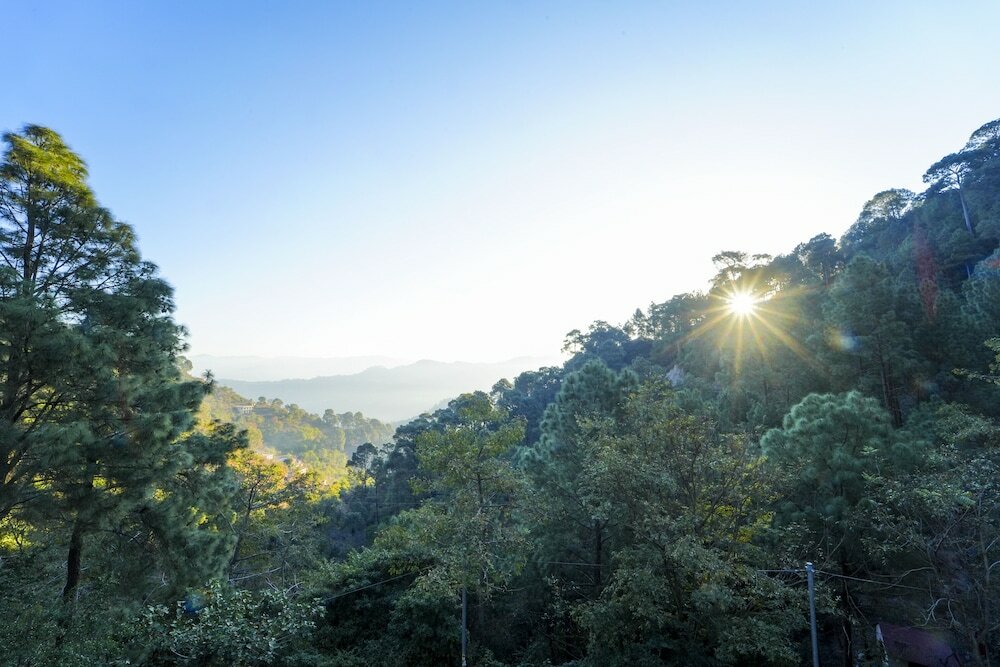 Фото Kamlia 3 Bhk Villa by Dumnu Homes