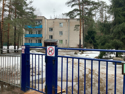 Yaz kampı Detsky ozdorovitelny lager Volna, Saint‑Petersburg ve Leningradskaya oblastı, foto