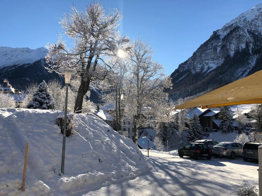 Фото Hotel Ladina