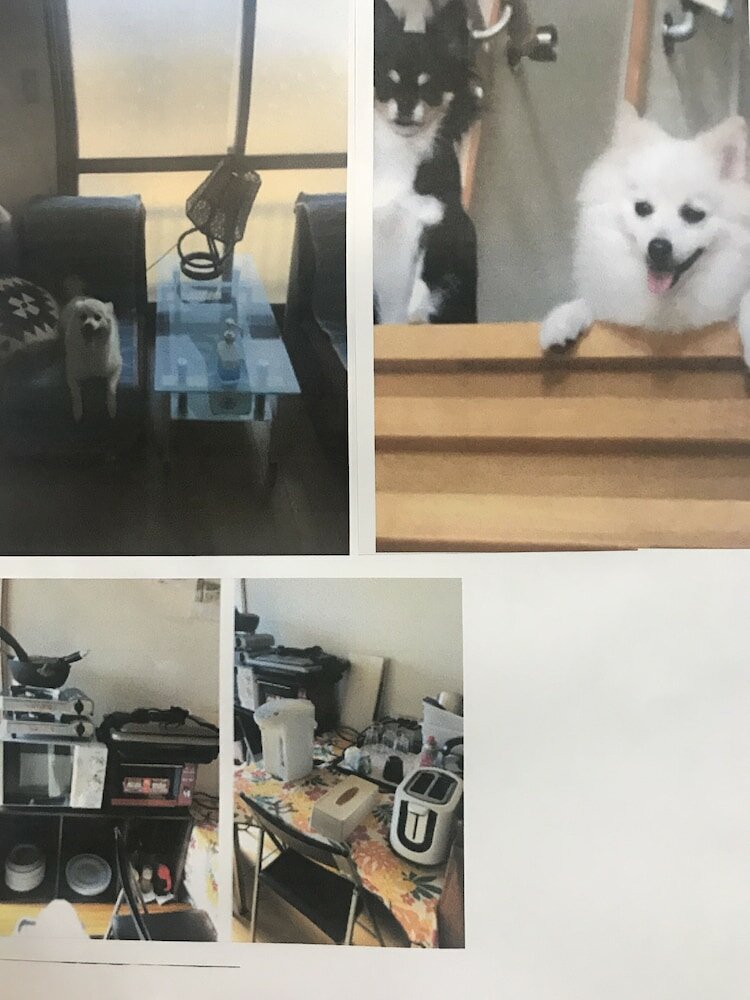 Фото Stay Akeboshi Kan