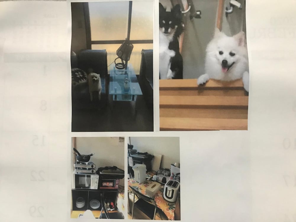 Фото Stay Akeboshi Kan