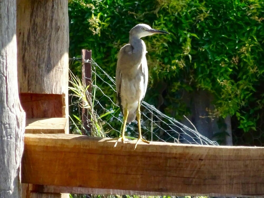 Фото Lagoon Pocket B&b