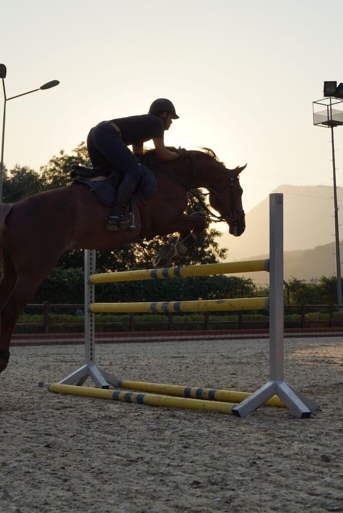 Фото Padok Premium Hotel & Stables