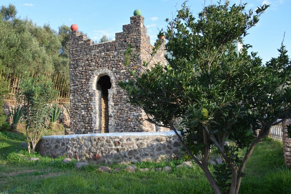 Фото Hotel Leonor