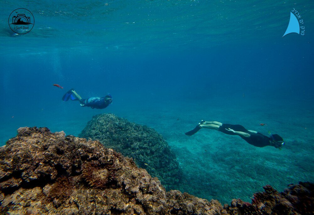 Фото Stylish Penthouse near Akhziv Beach