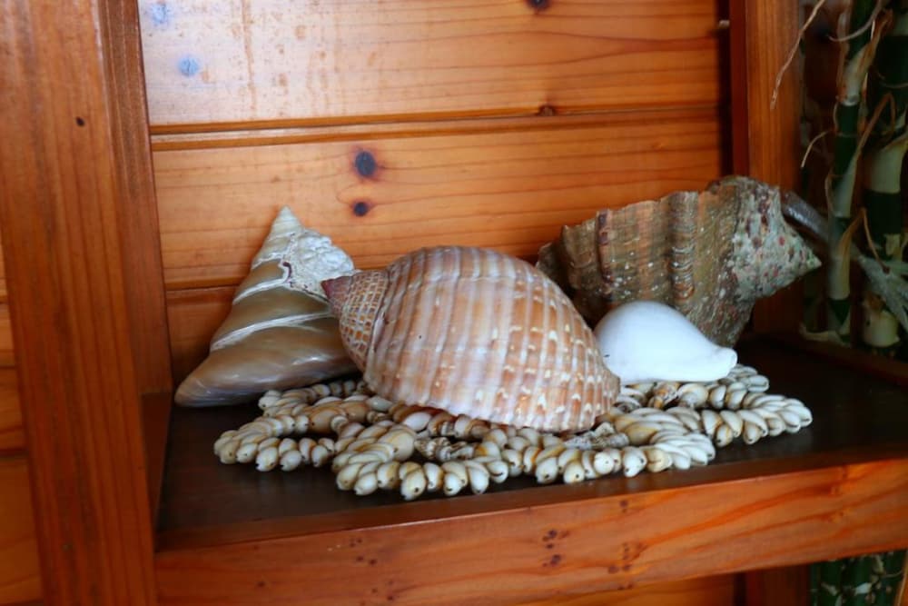 Фото Pension Kongo Baru