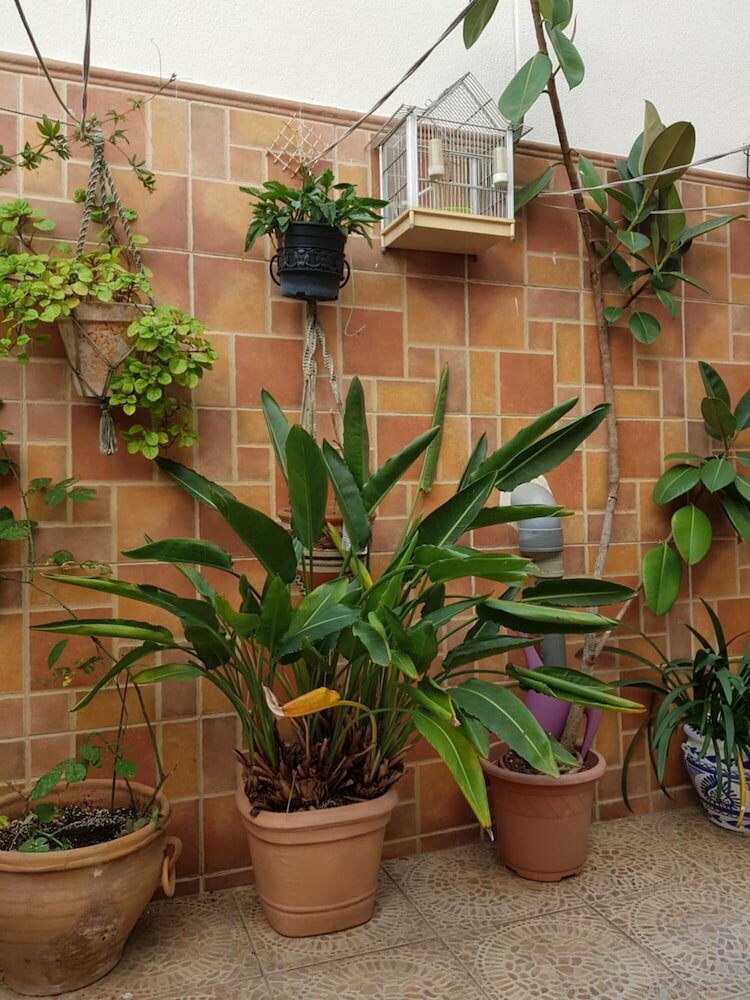 Фото Pensión La Vega