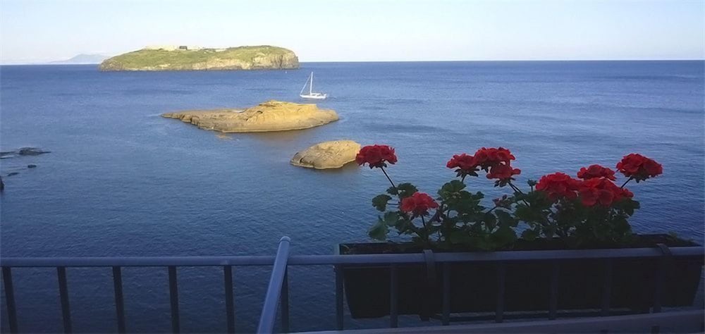 Фото Hotel Villa Iulia