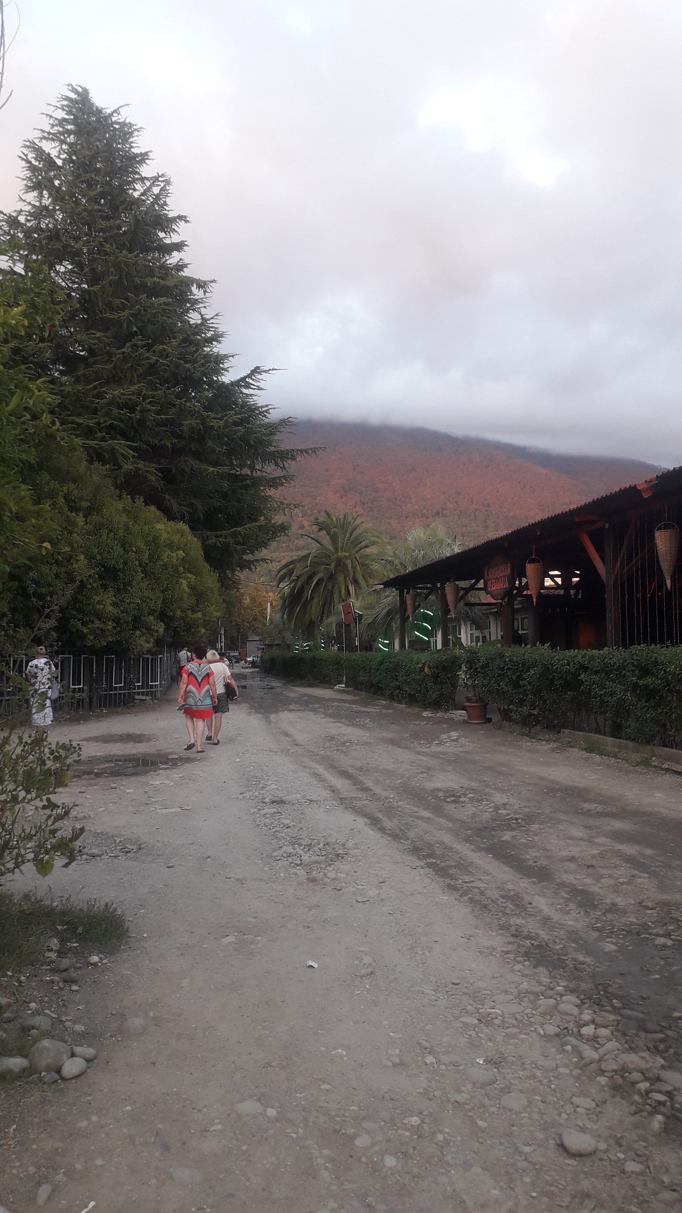 Фото Династия