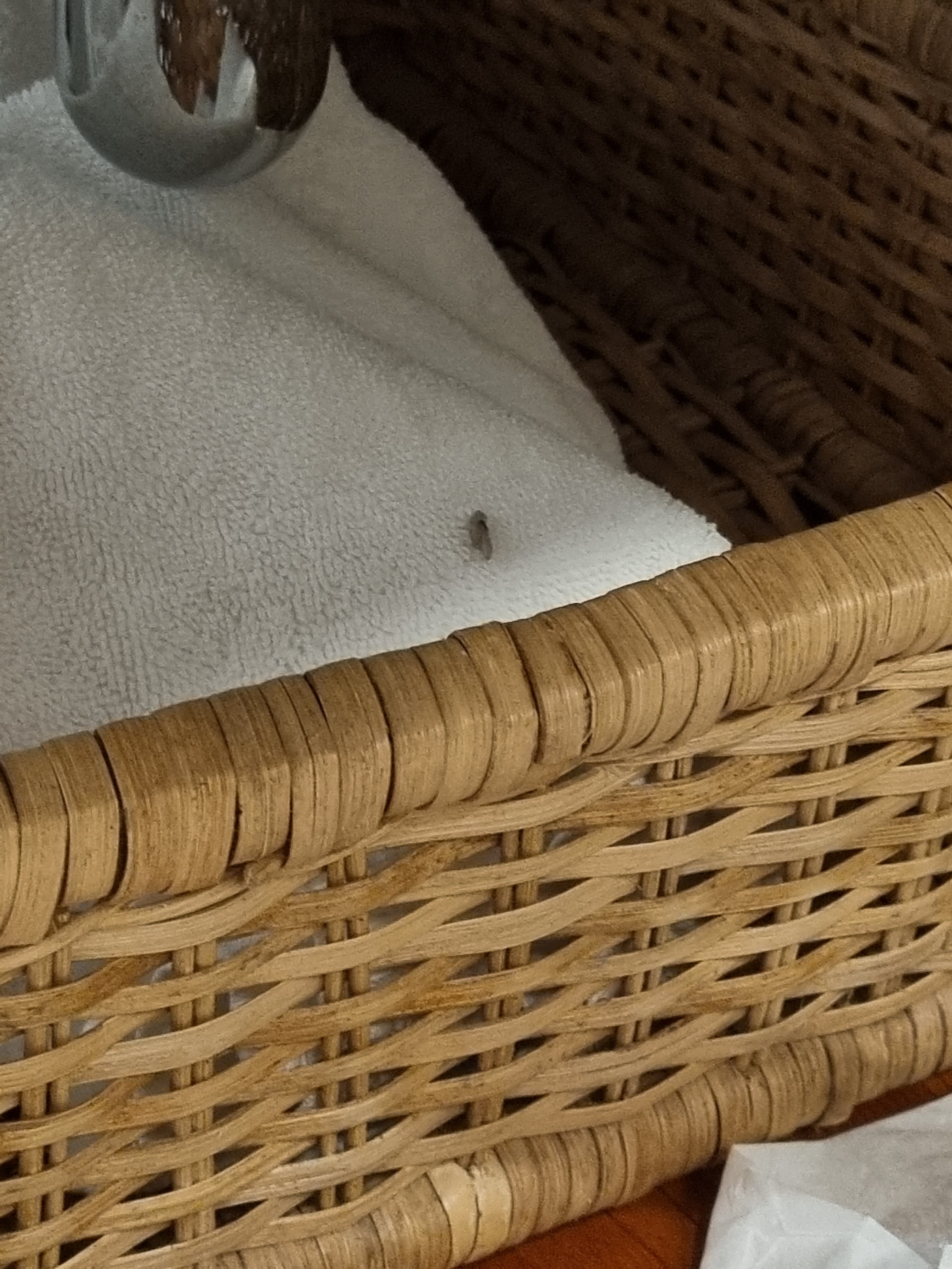 Фото Отель Hilton Colombo Residence