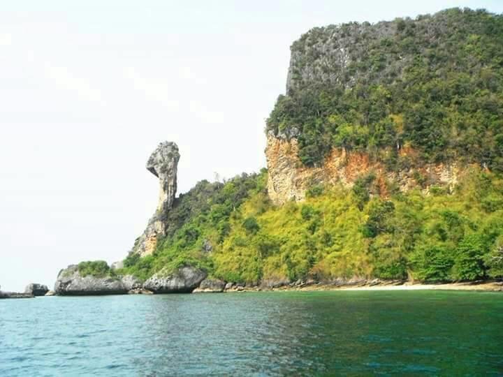 Фото Anna's House