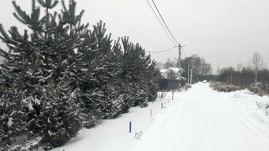 Gardeners' partnerships and societies МКГЗ-Мещерино, Moscow and Moscow Oblast, photo