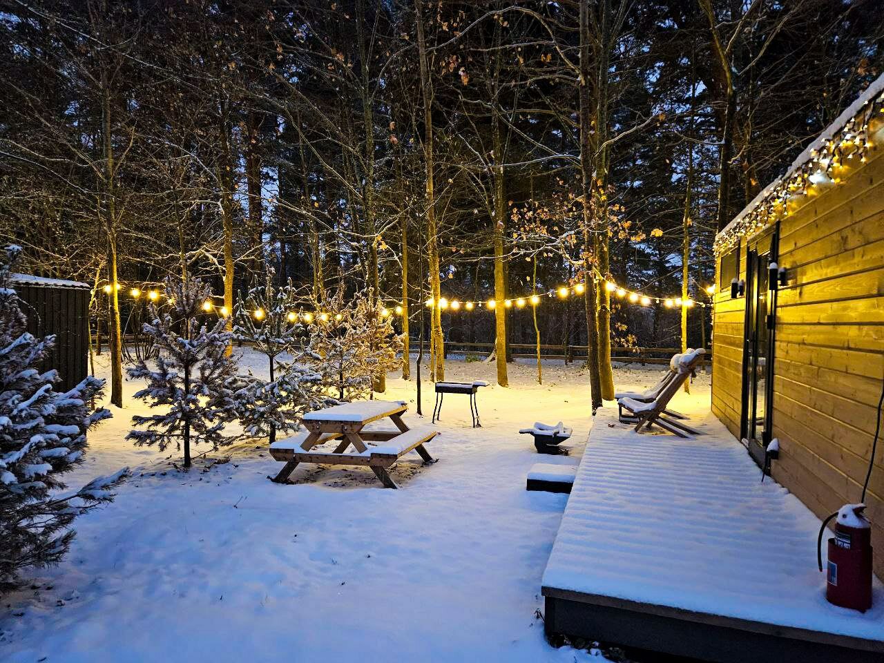 Фото Лесной Привал