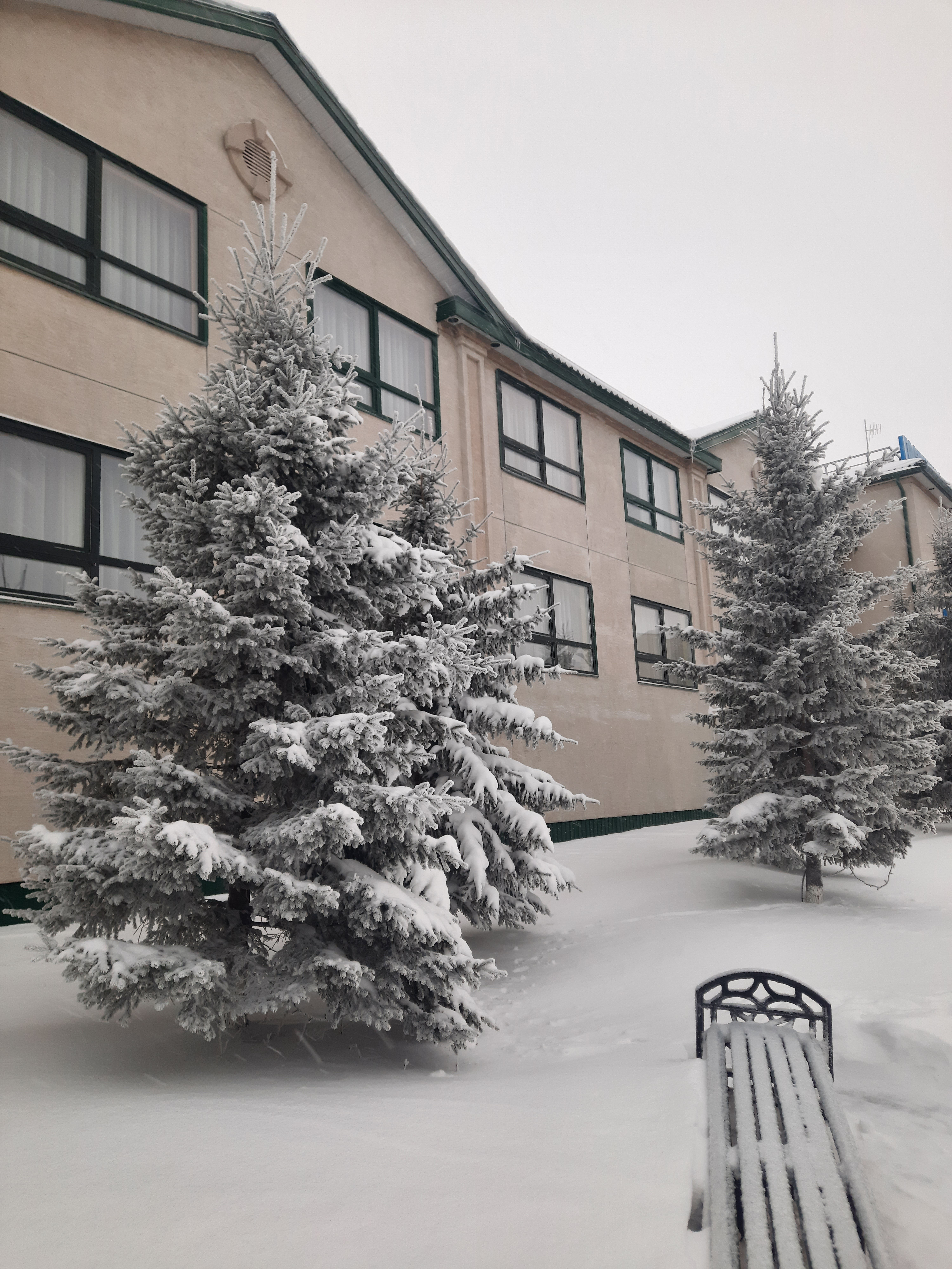 Фото Арктика