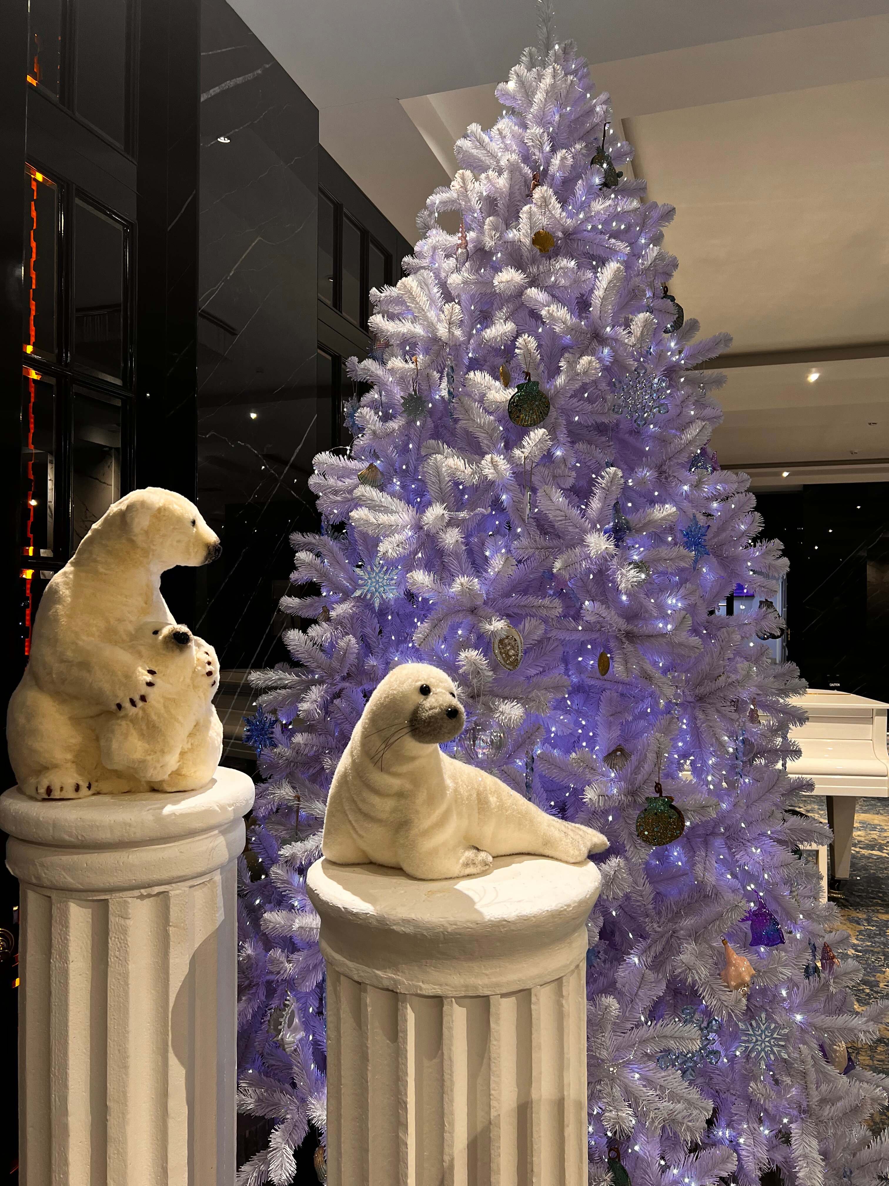 Фото Меридиан