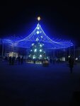 Городская ёлка (Lipetsk Region, Yelets, ulitsa Mira), city tree