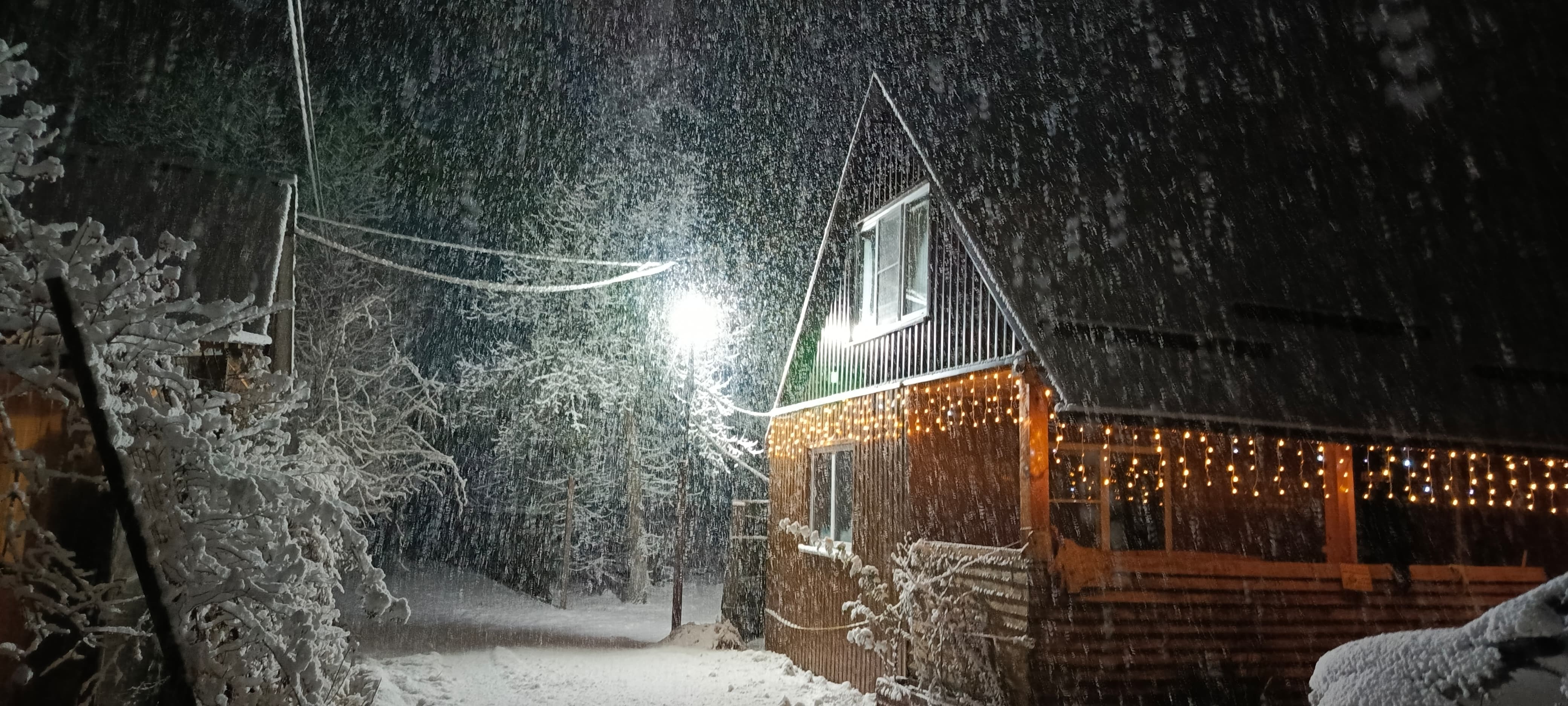 Фото Медвежий угол