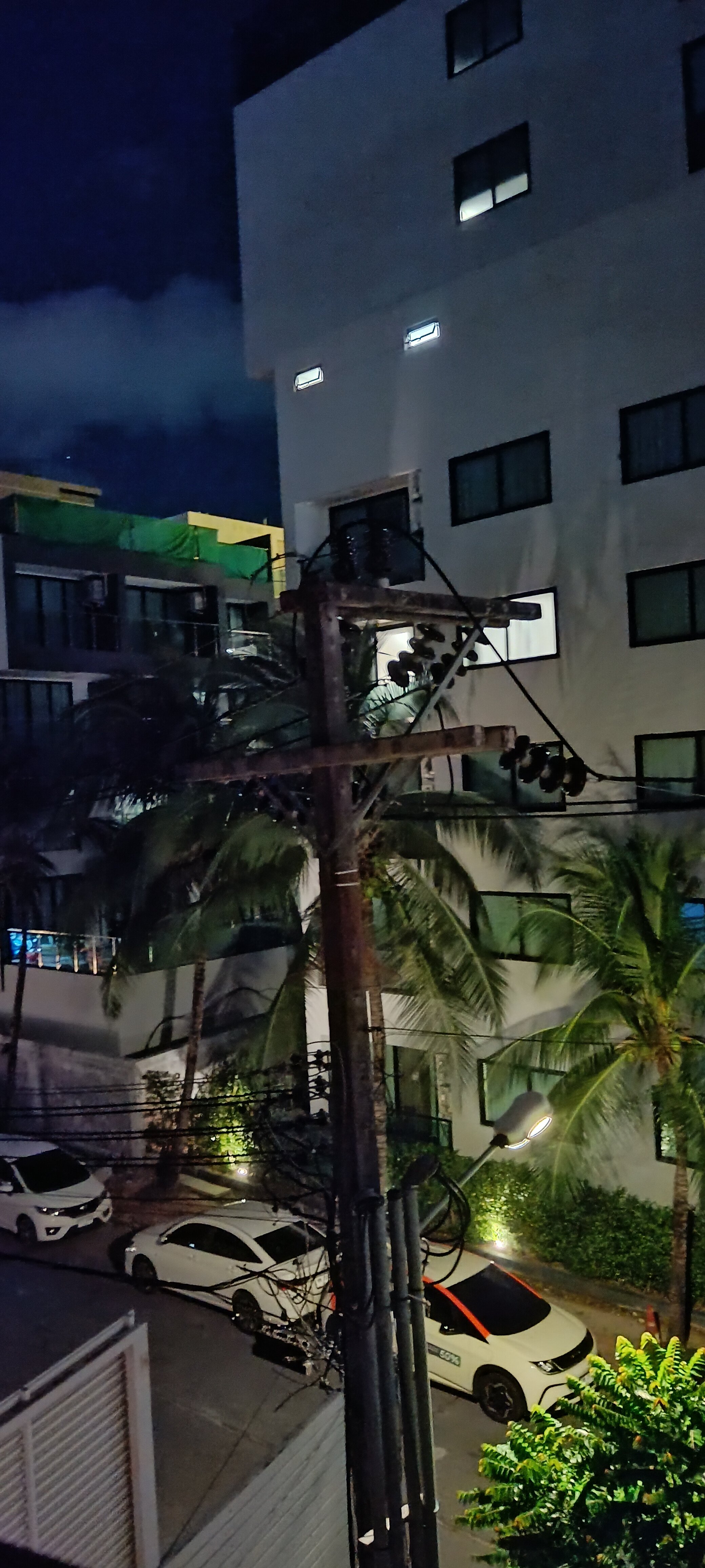 Фото The Orchid House