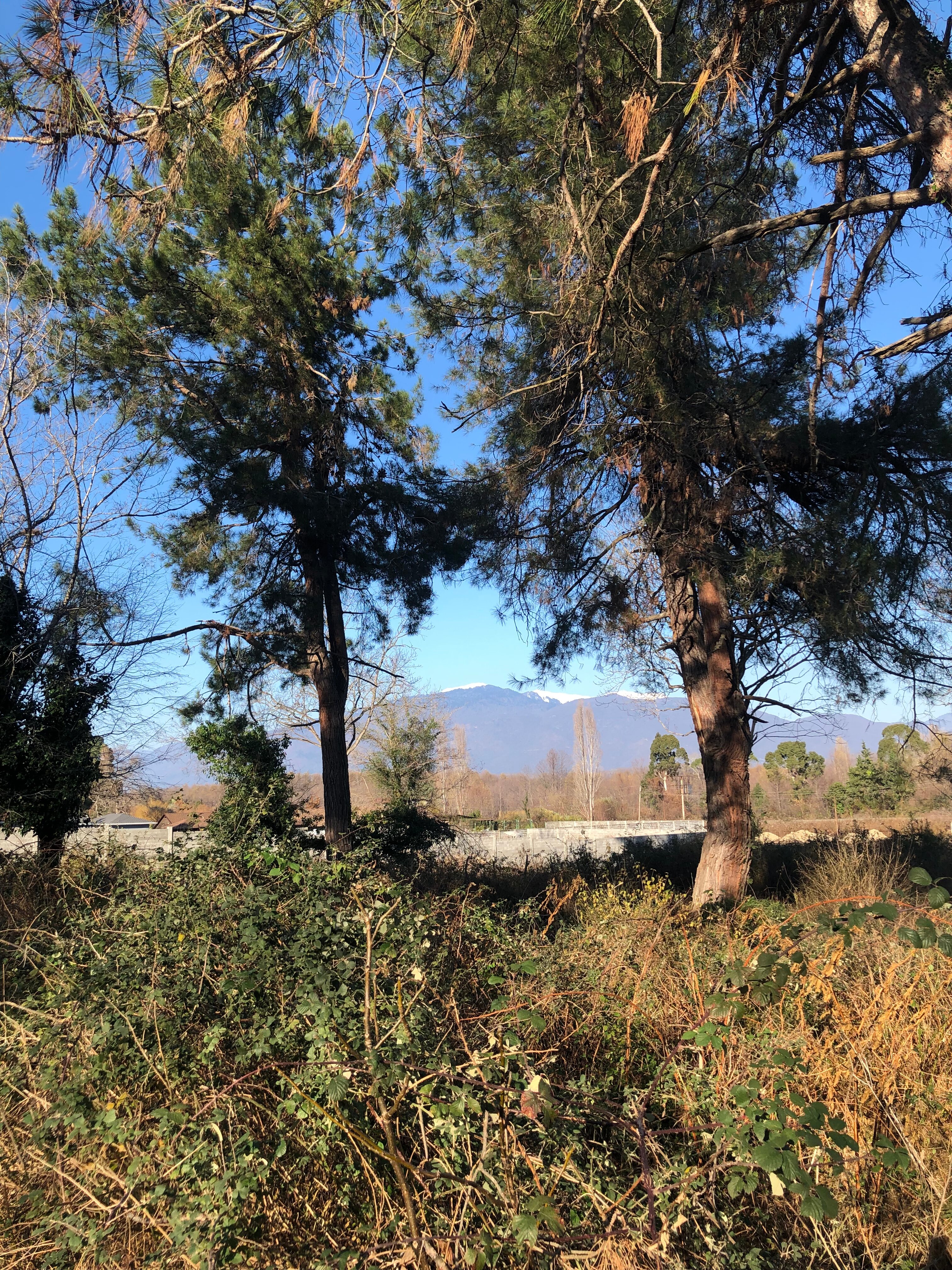 Фото Абазгия