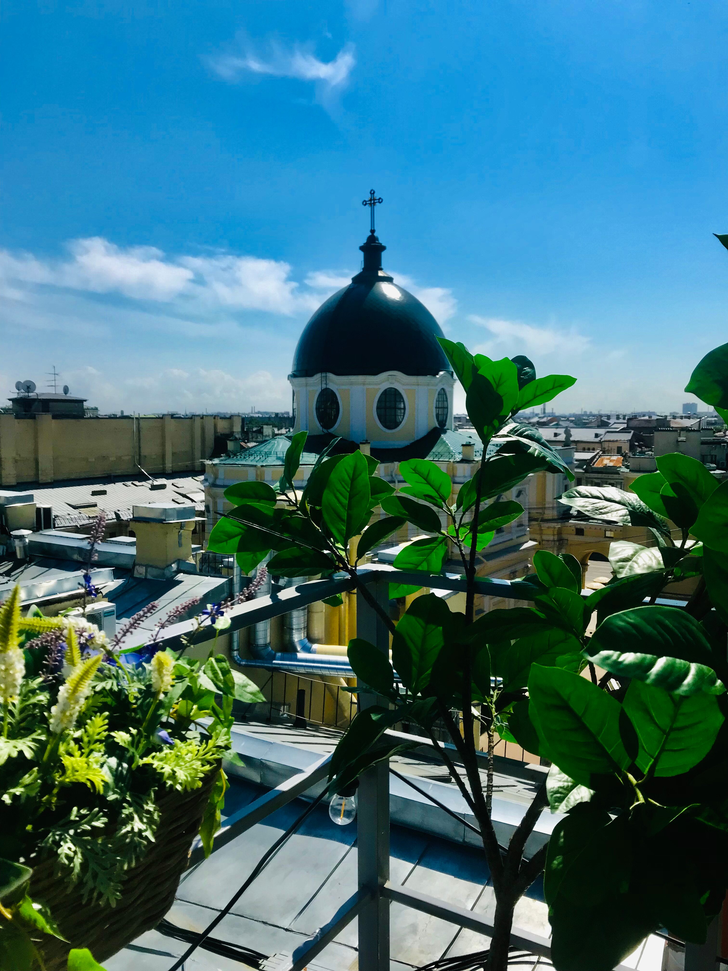 Фото Невский Капсульный