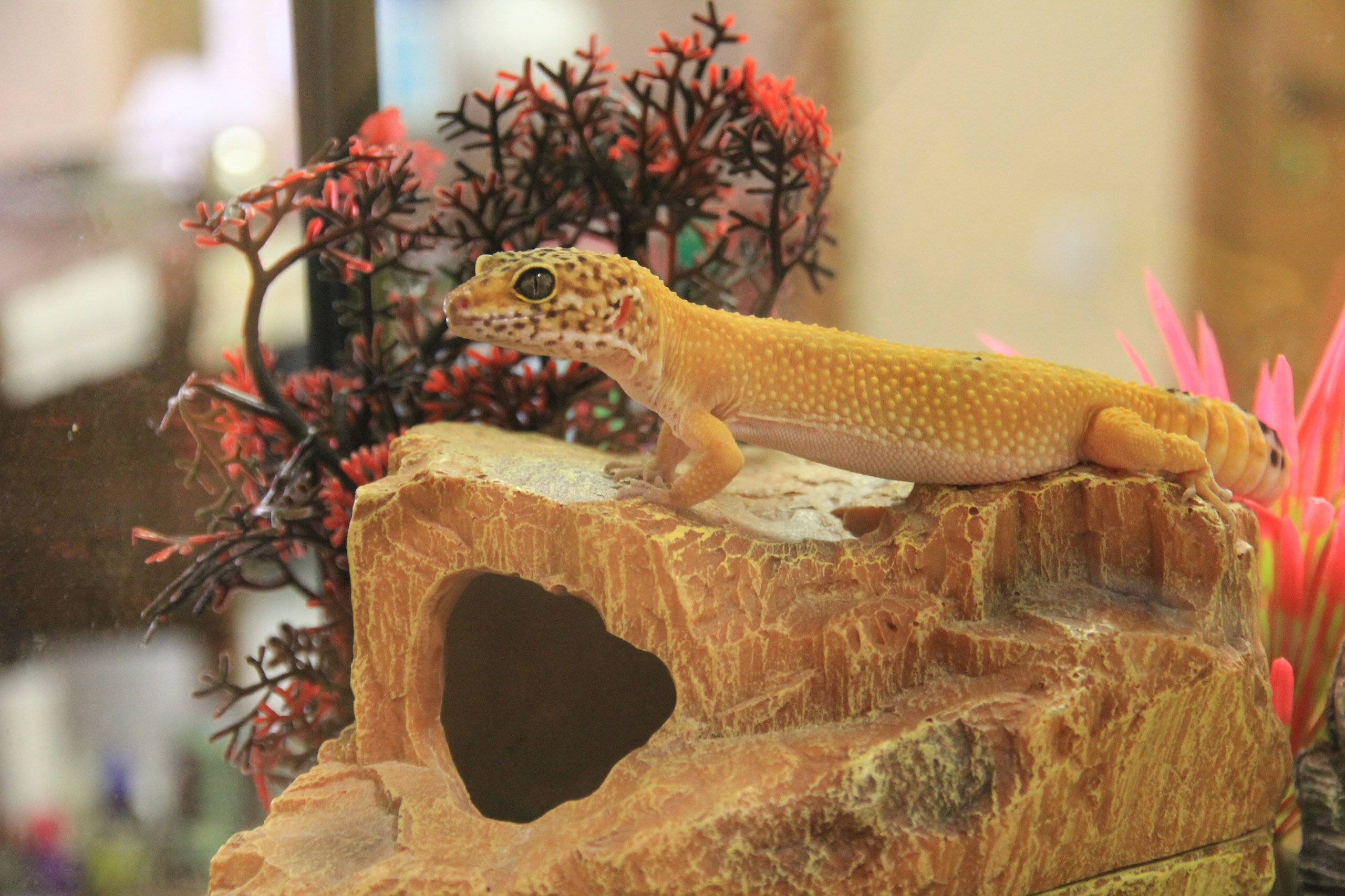 Фото Владимирский дворик