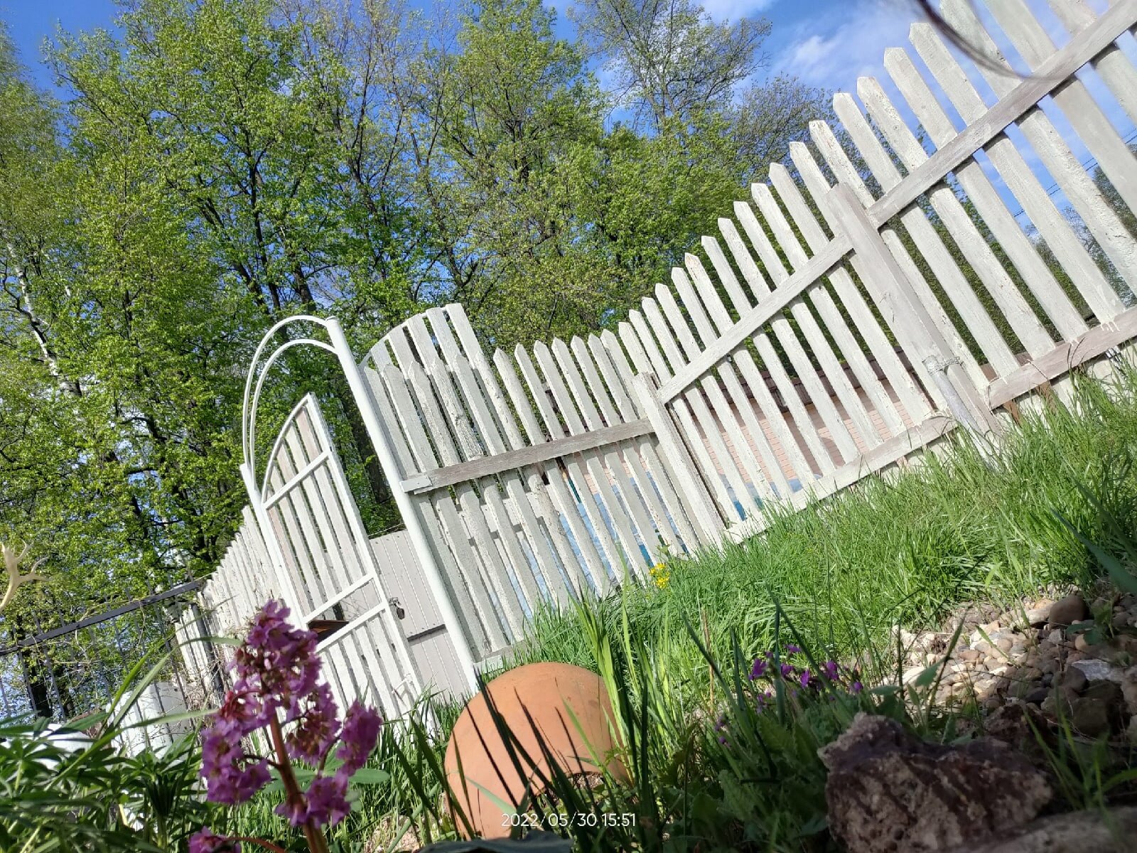 Фото Фазенда