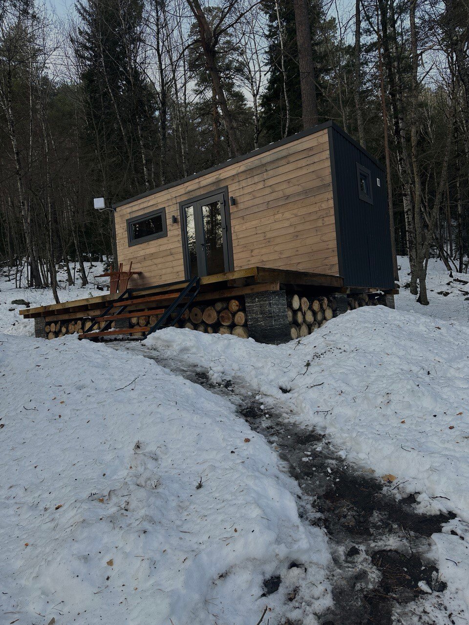 Фото Шелест