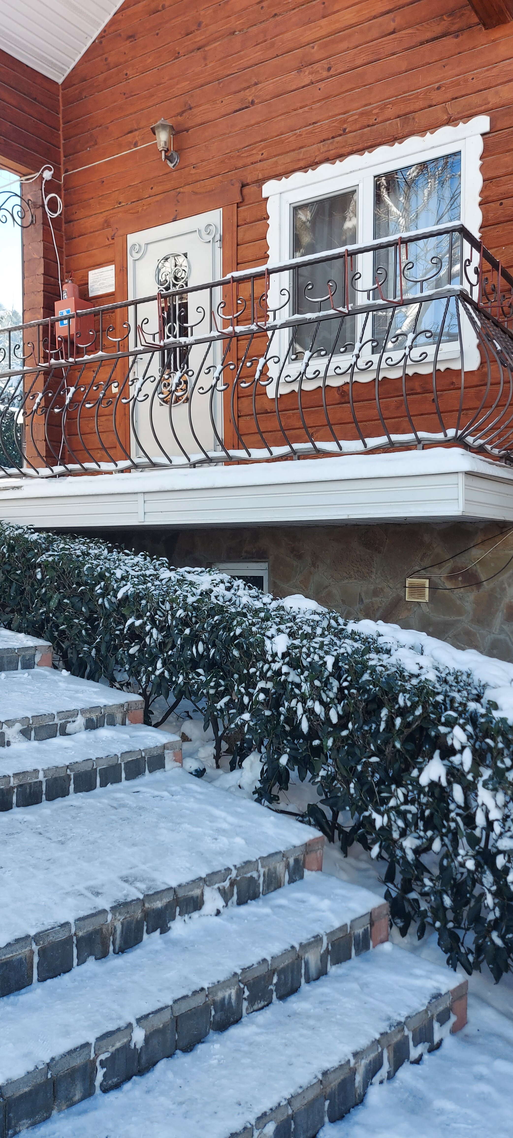 Фото Пальмира