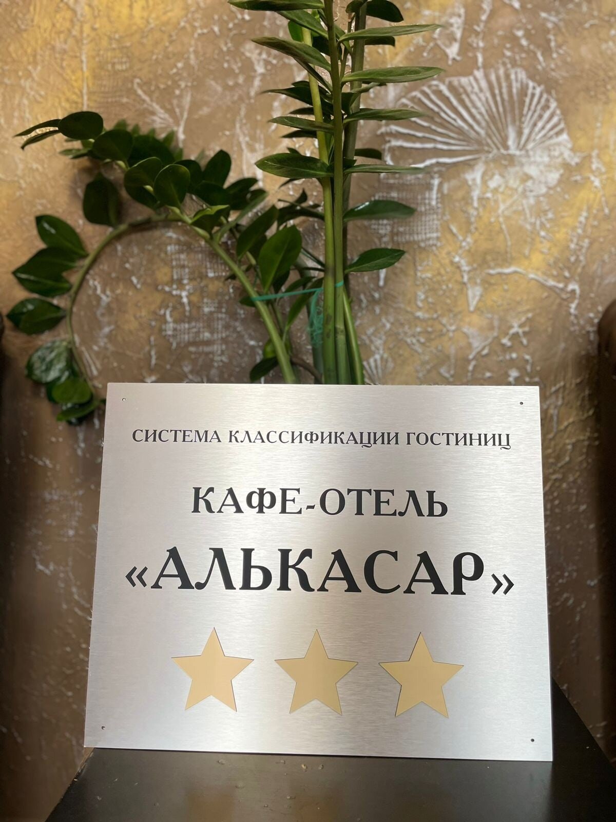 Фото Алькасар