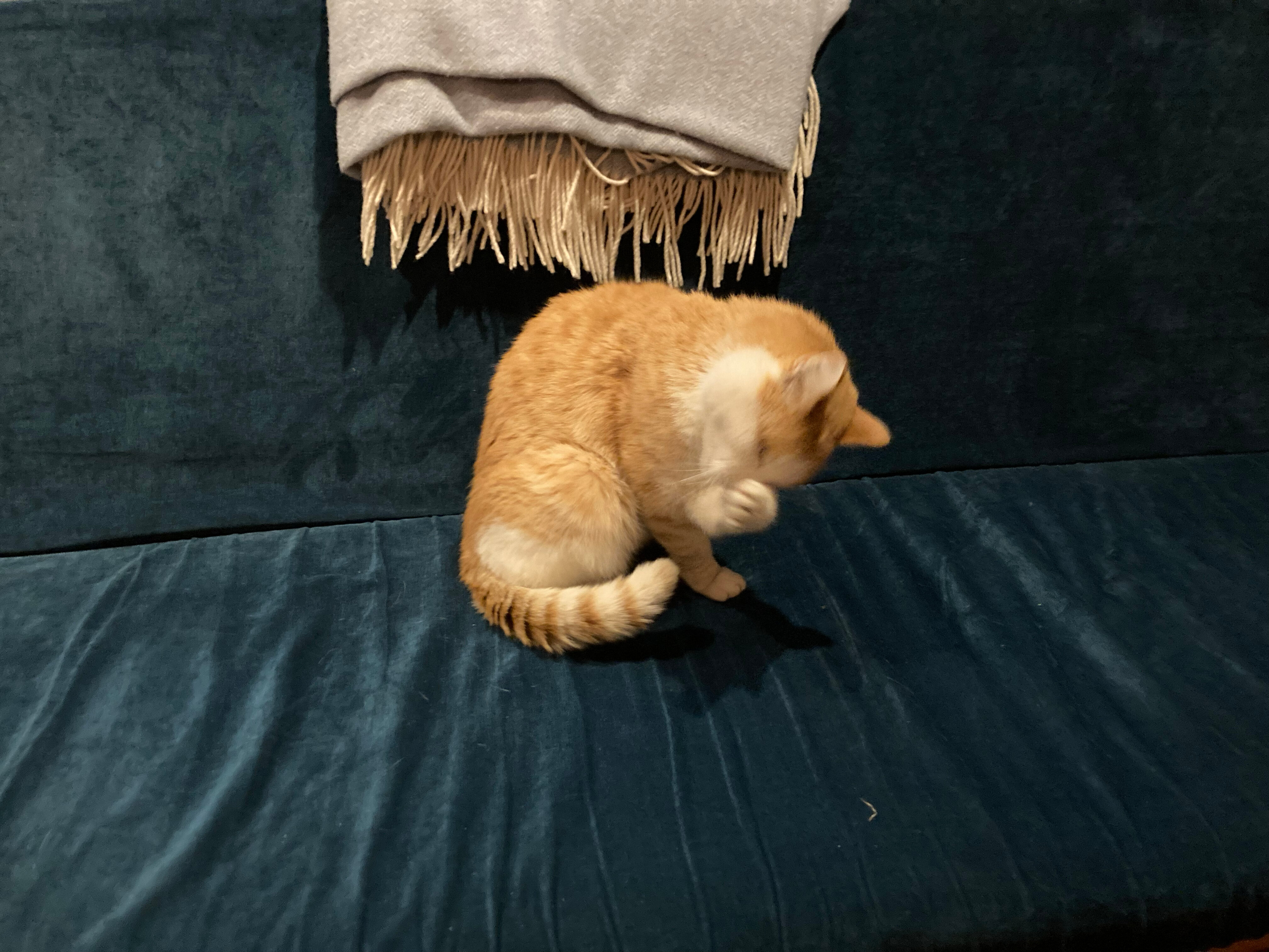 Фото Приют Романтиков