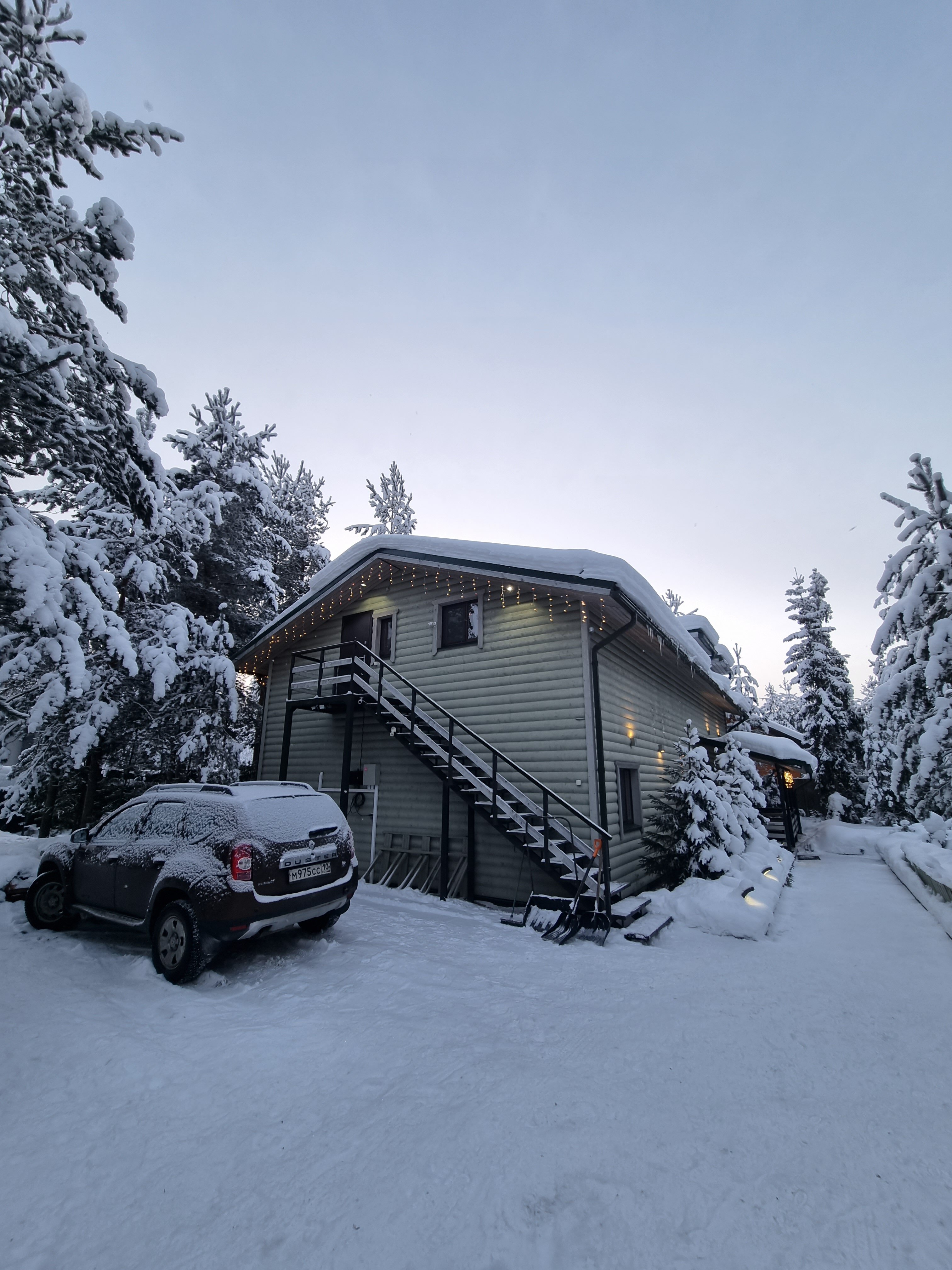 Фото Хвойный