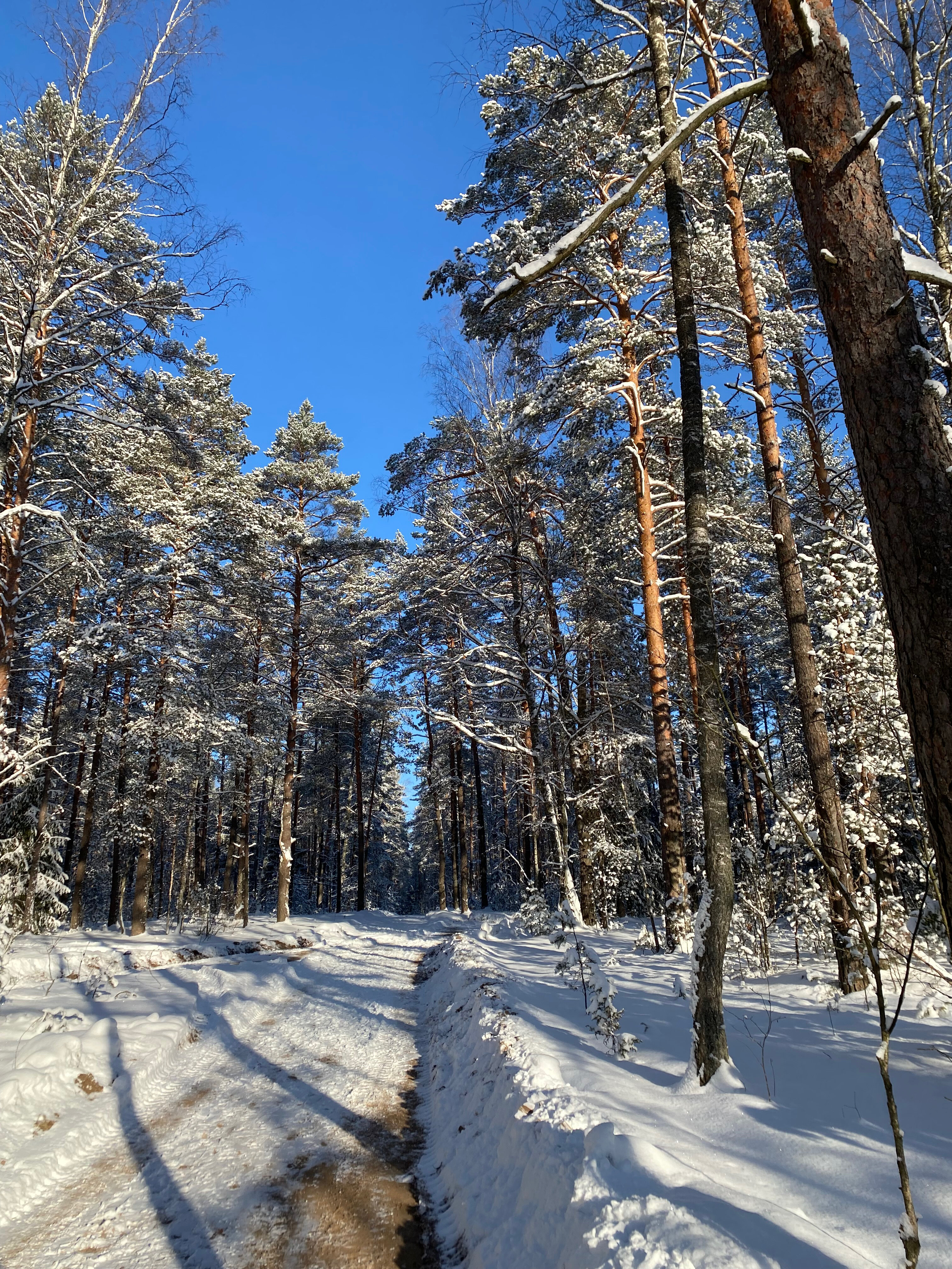 Фото Бобровая хата
