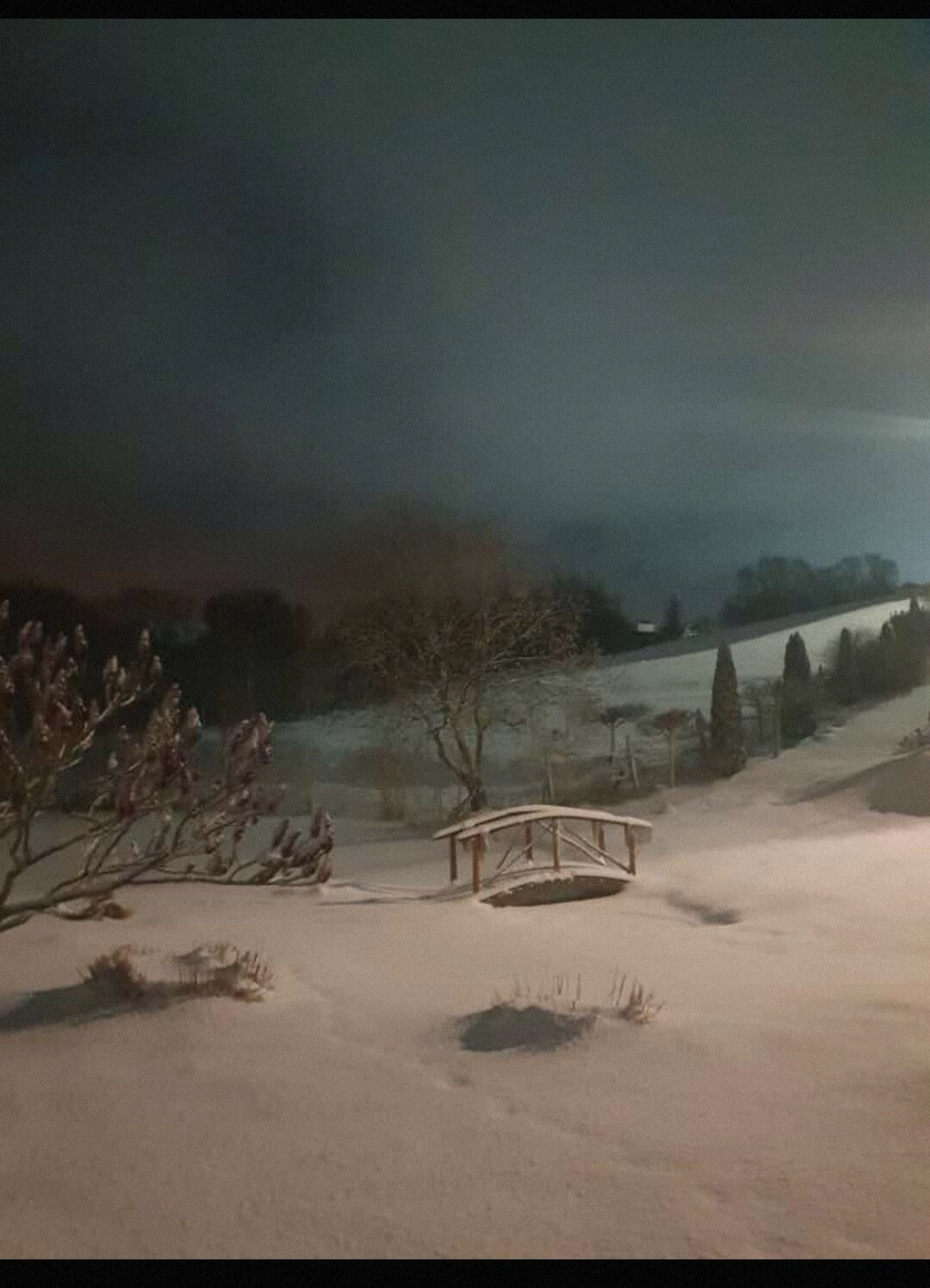 Фото Романовская слобода