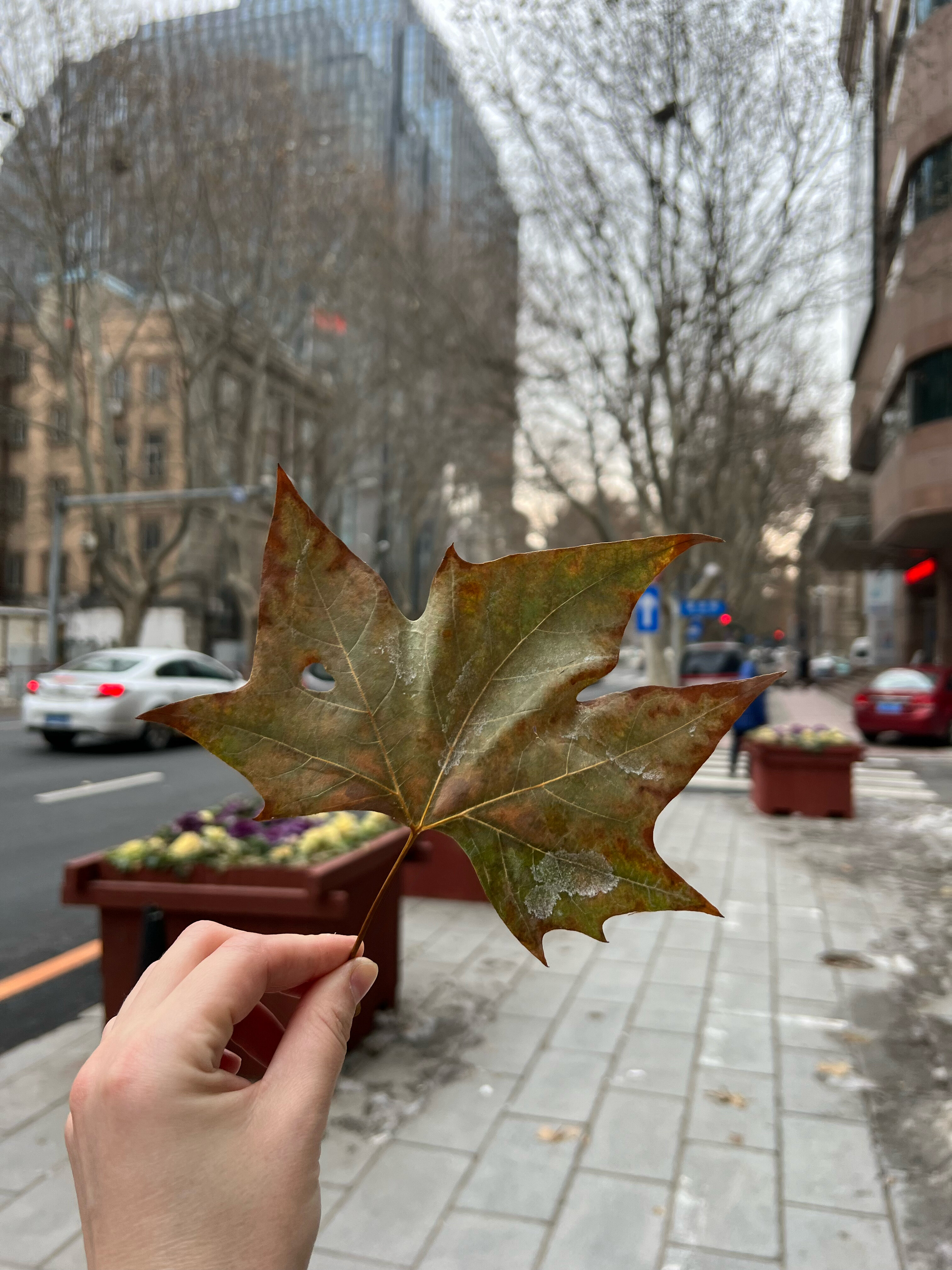 Фото Holiday Inn Express Dalian City Center