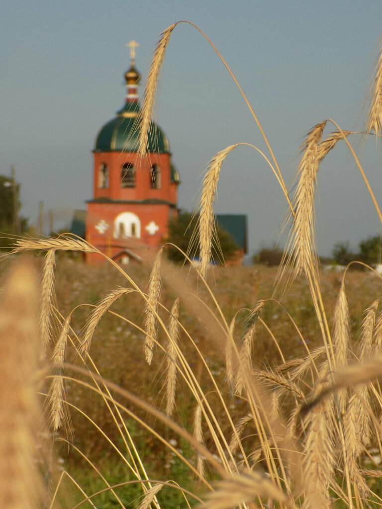 Pravoslav kilsəsi Arkhangela Mikhaila Church, , foto