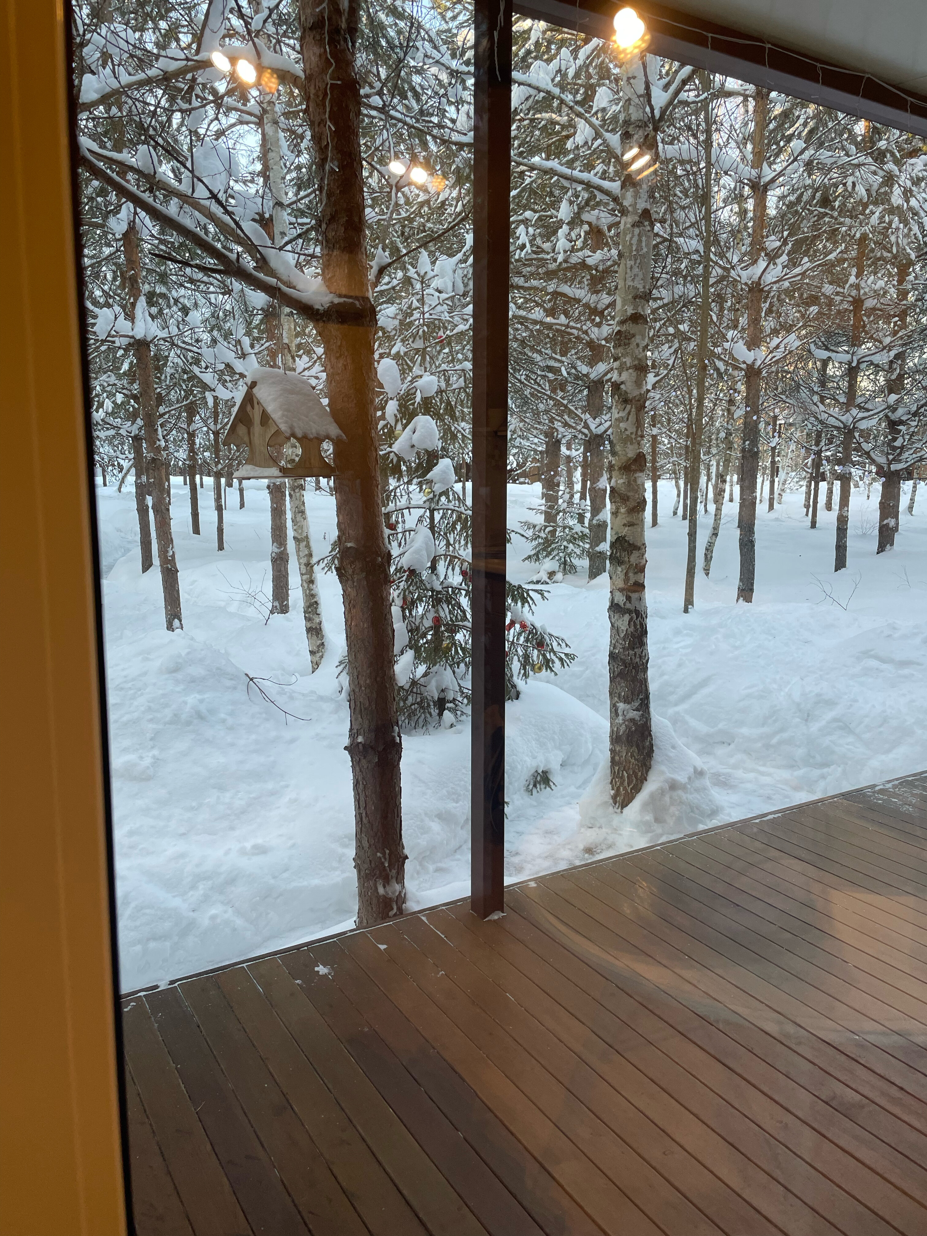 Фото Skazka в лесу