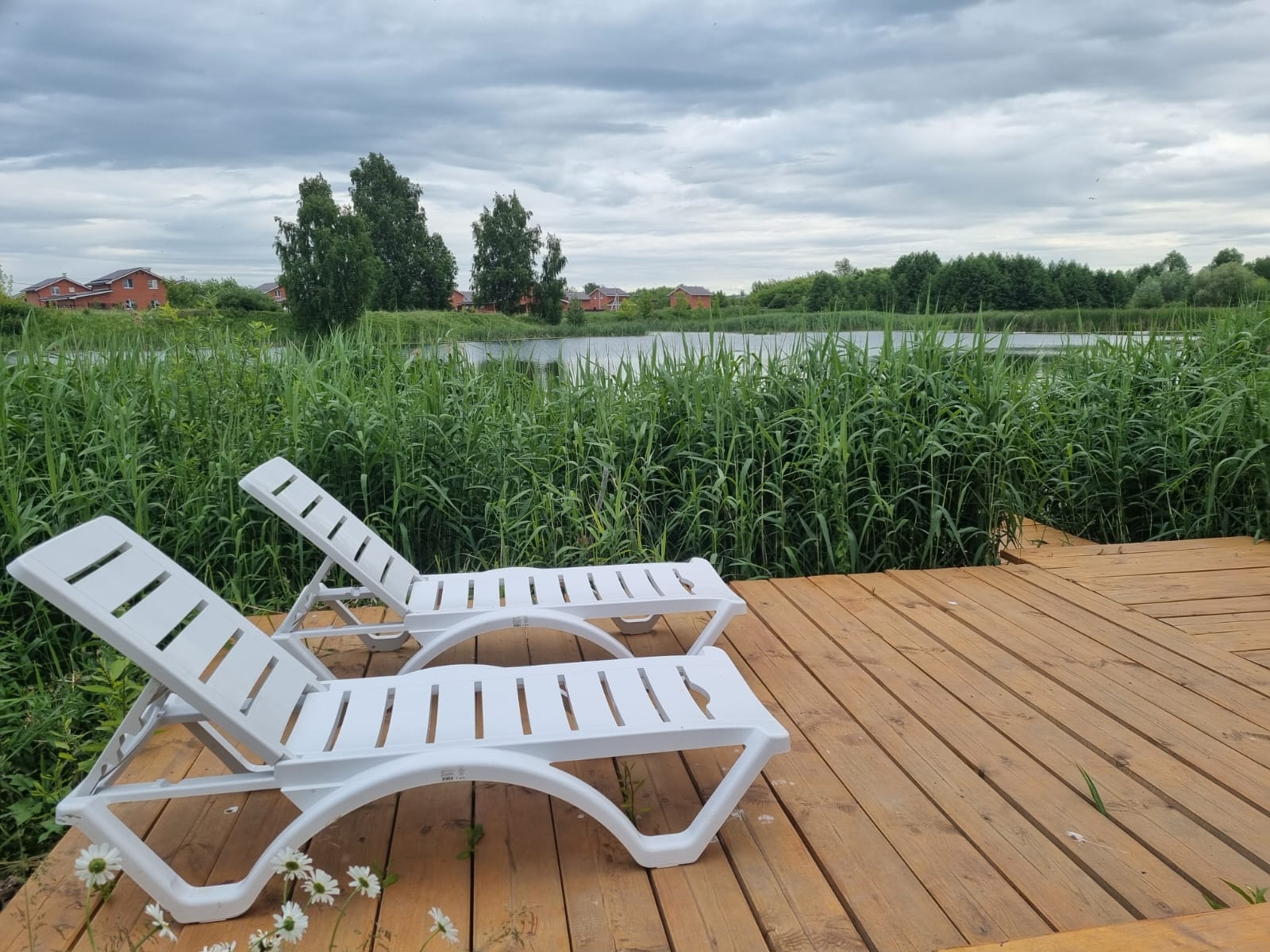 Фото Афрейм