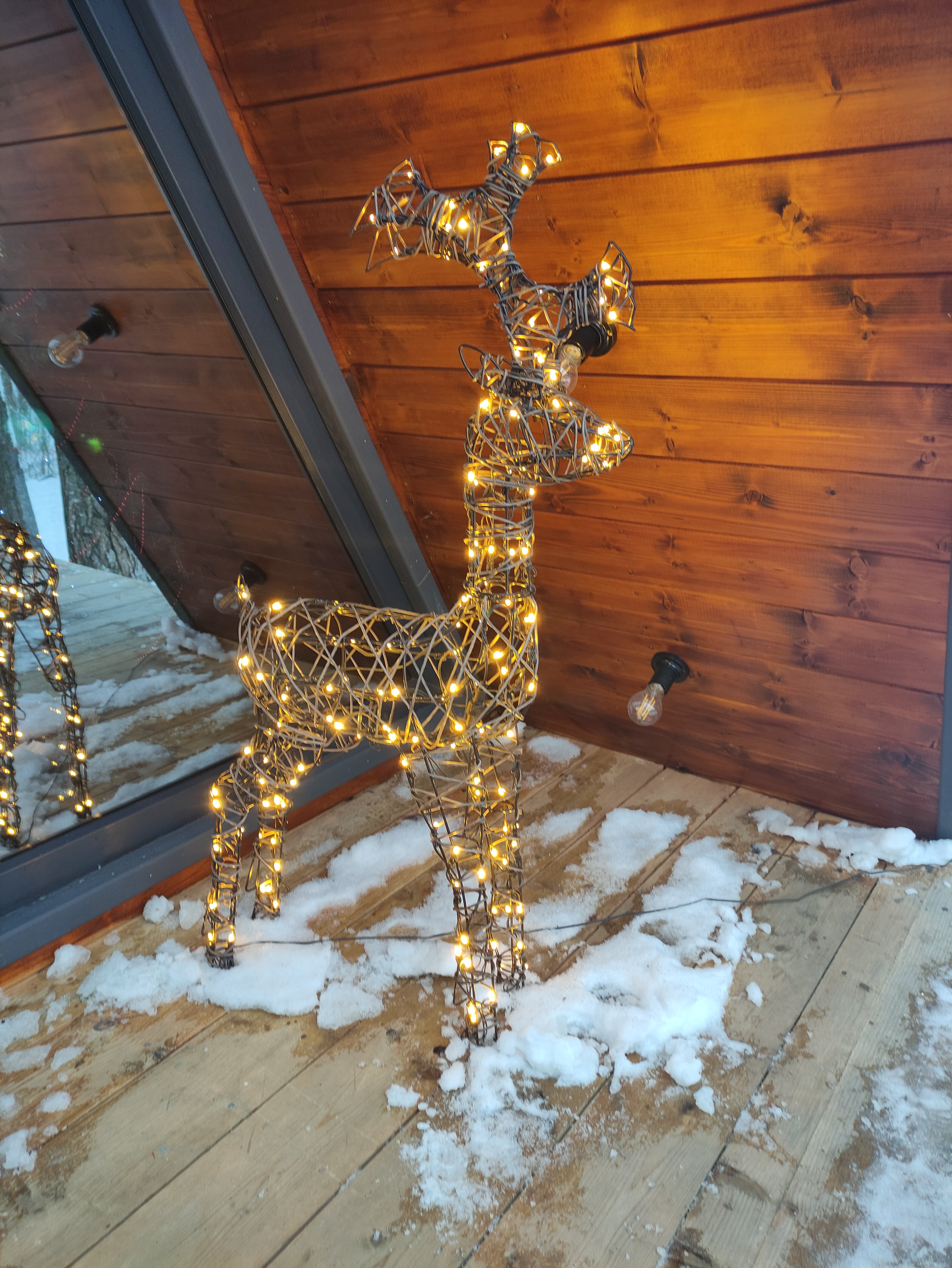 Фото Ильинка лес