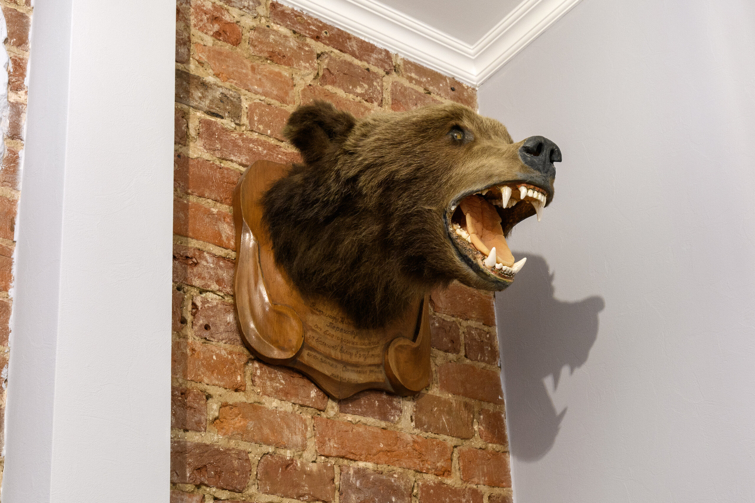 Фото Апарт-группа Морошка