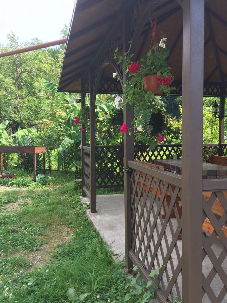 Фото Зеленый рай