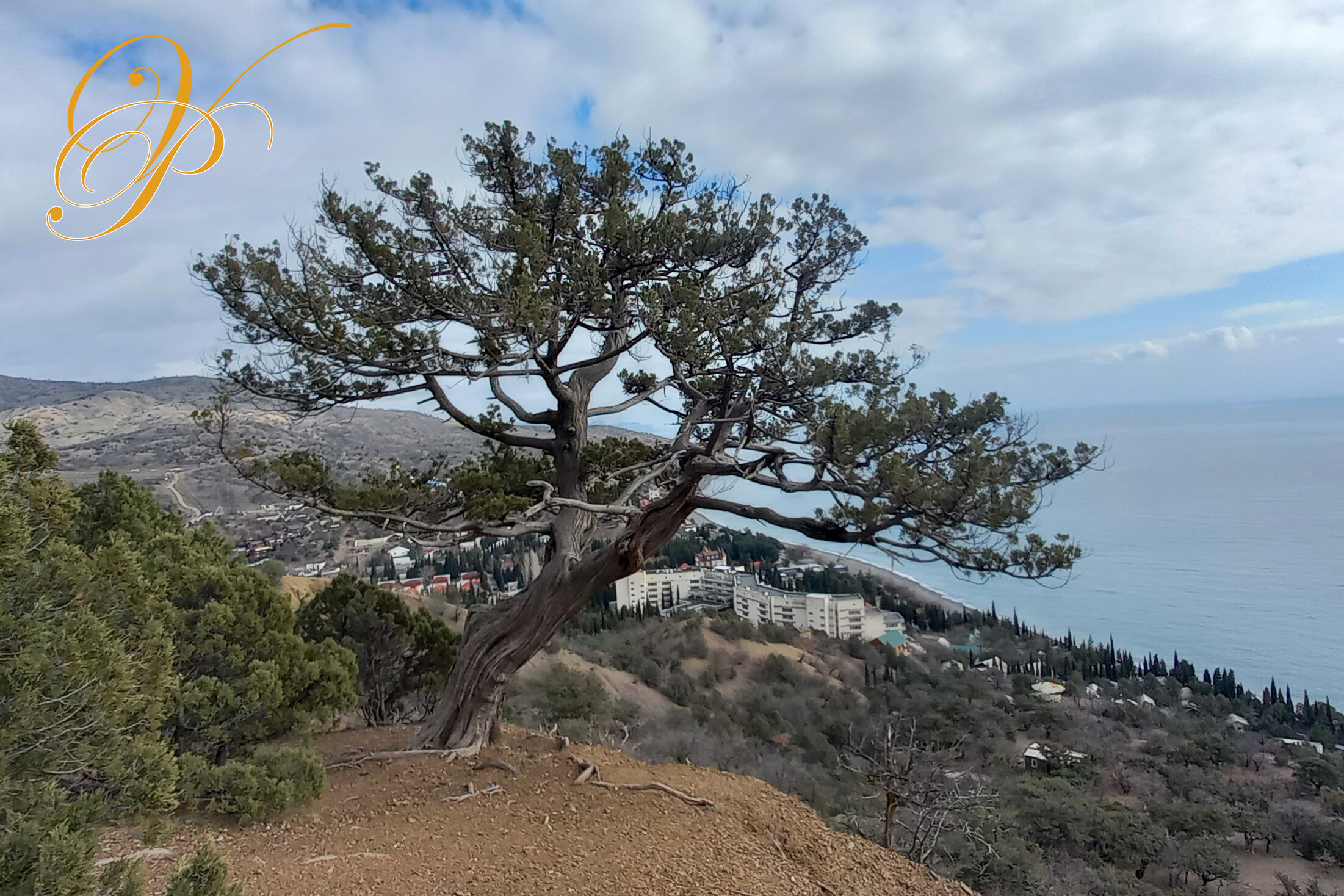 Фото Волна Поднебесная