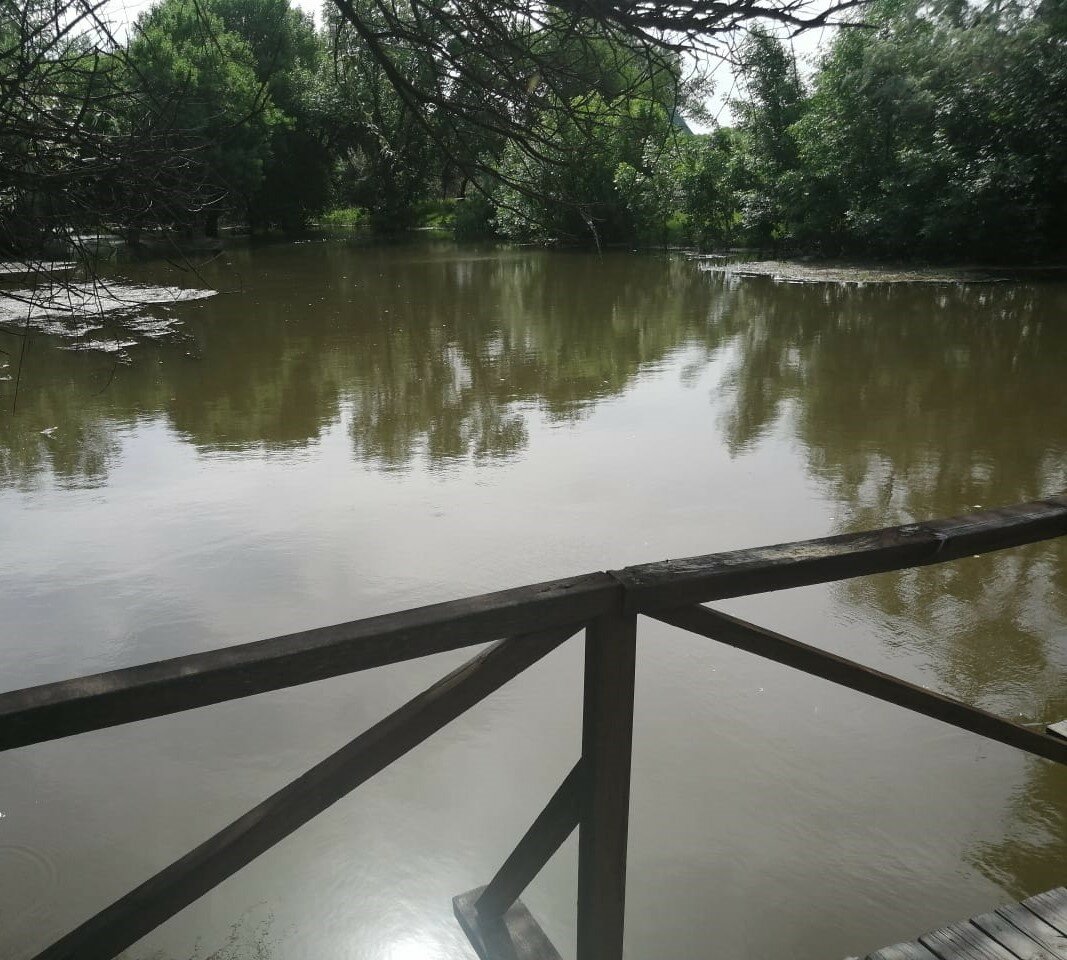 Фото Камышовый рай