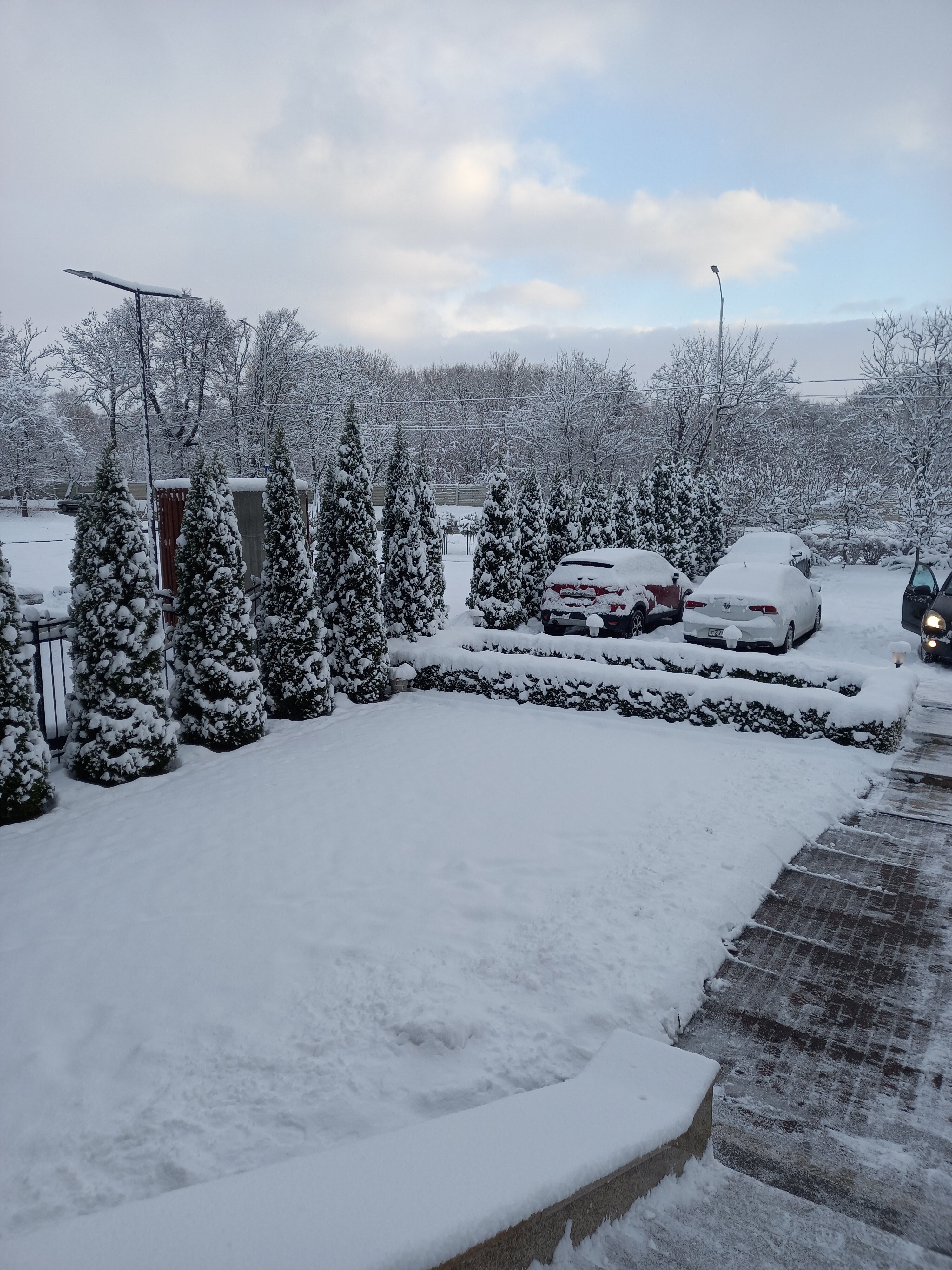 Фото Константа