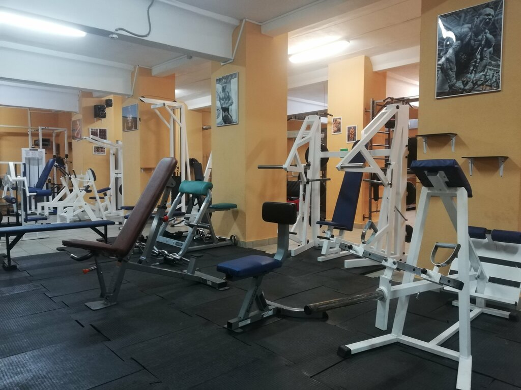 Sports hall, gym Атлет, Ozery, photo