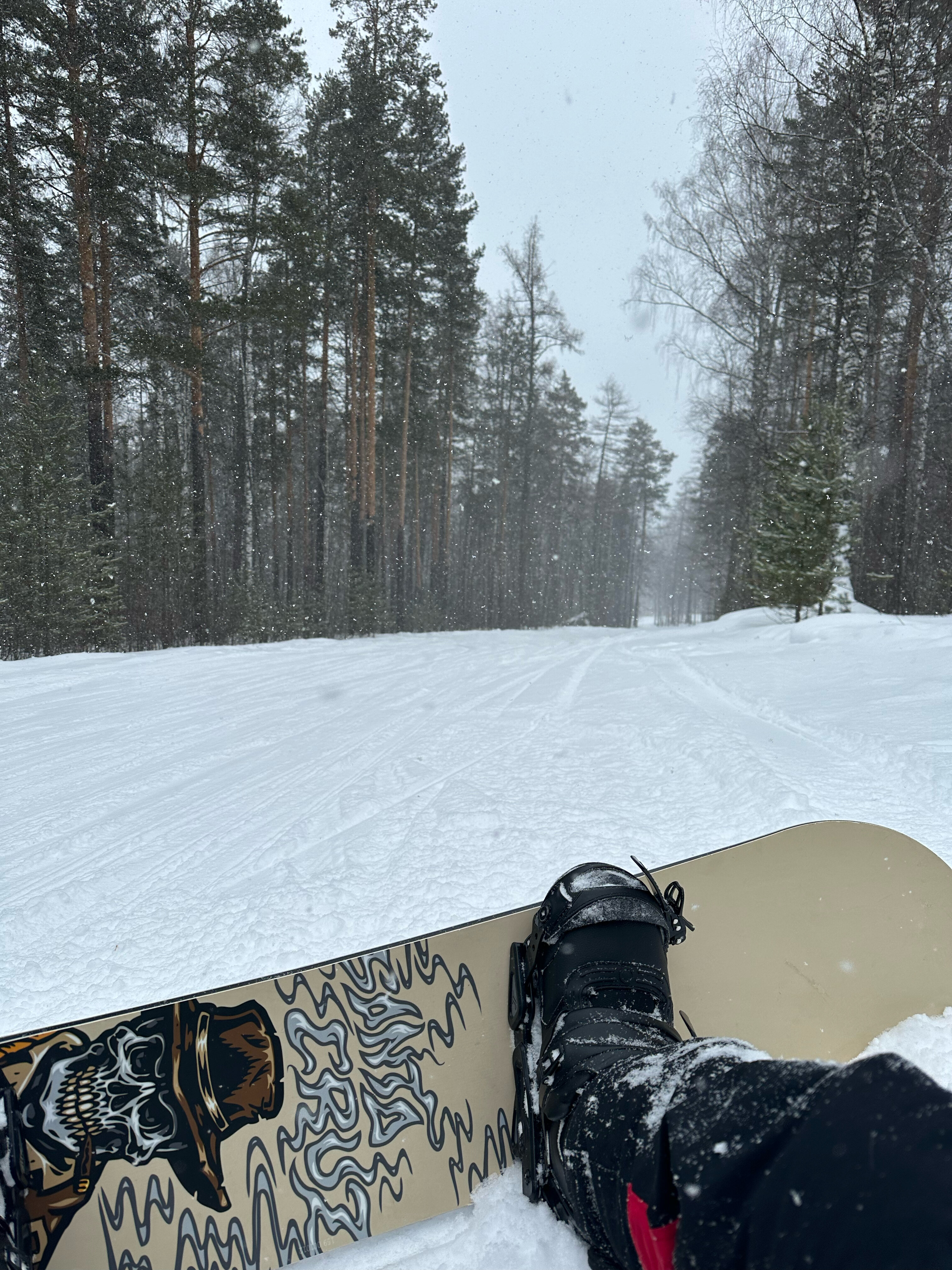 Фото Лавина