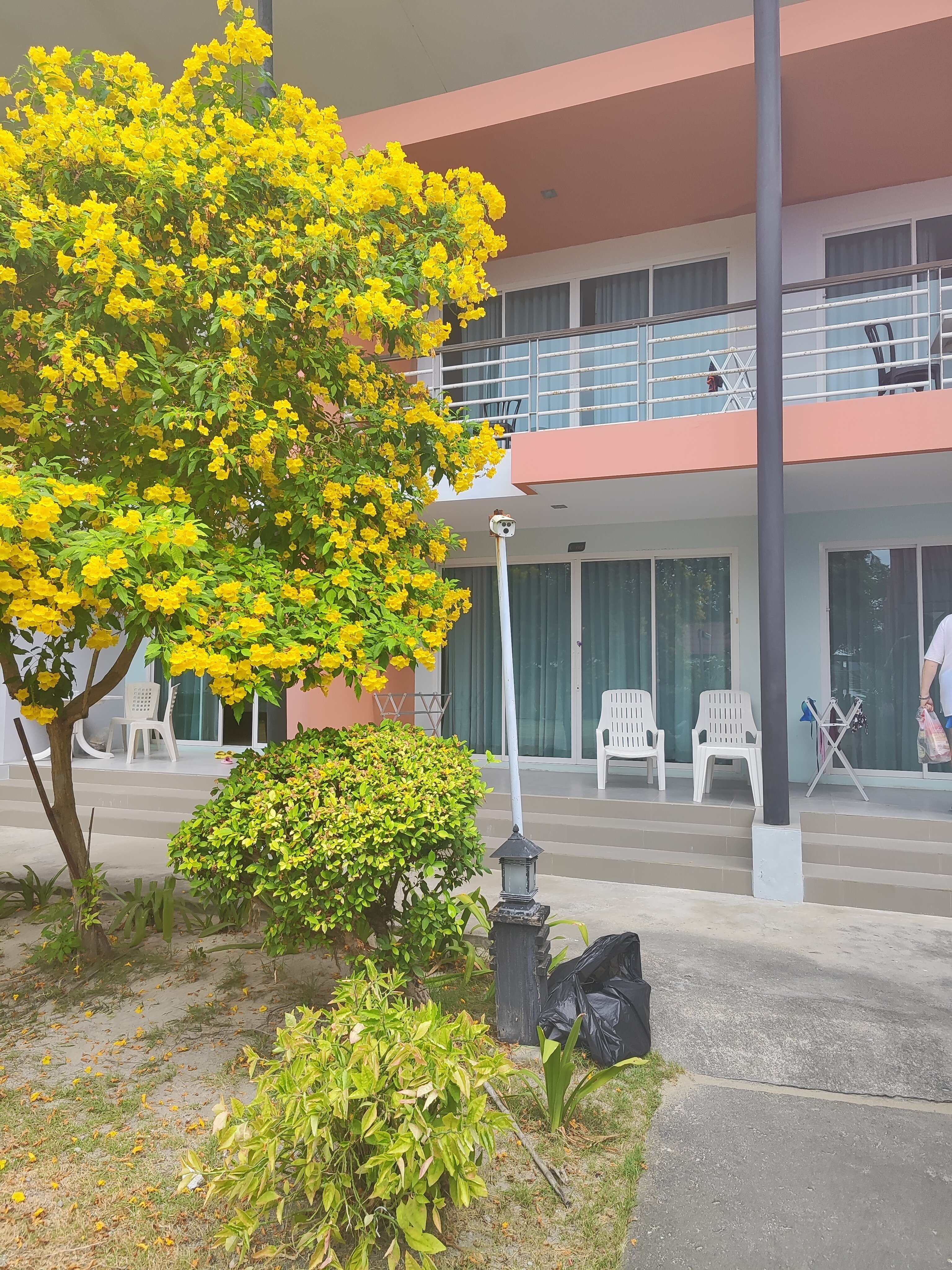 Фото Phi Phi Rimlay Cottage