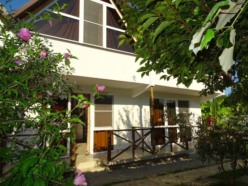 Фото Салангана