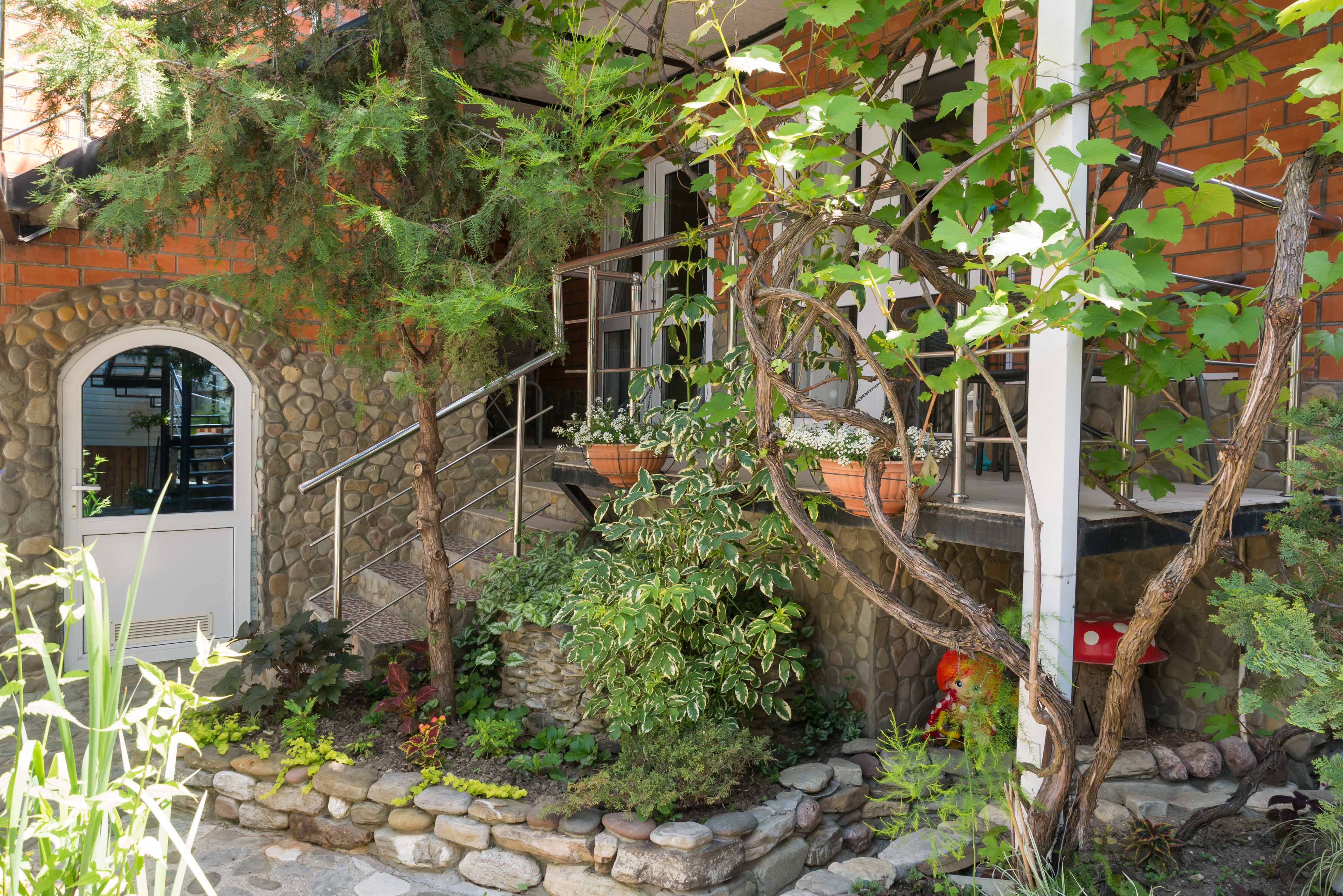 Фото Березы