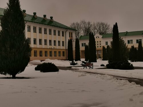 Санаторий Жемчужина в Боровке