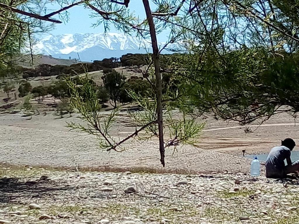 Фото Riad Zinnha